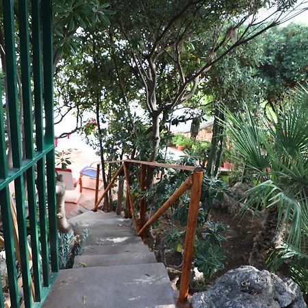 Casa Elvira Villa Terrasini Luaran gambar