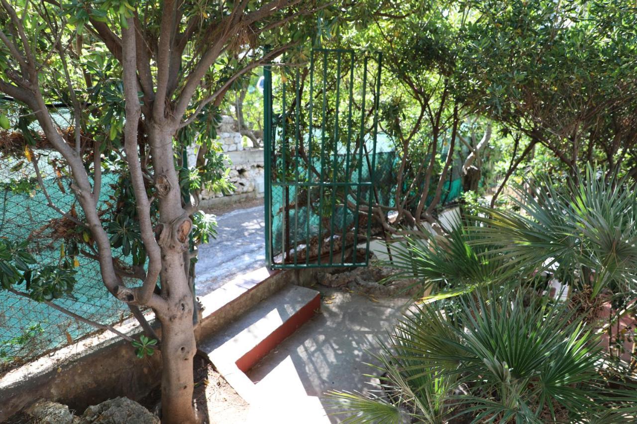 Casa Elvira Villa Terrasini Luaran gambar