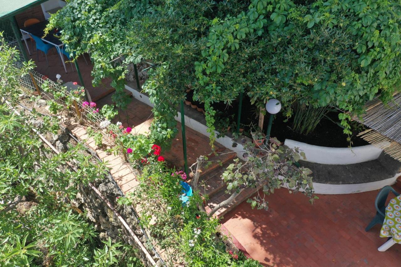 Casa Elvira Villa Terrasini Luaran gambar