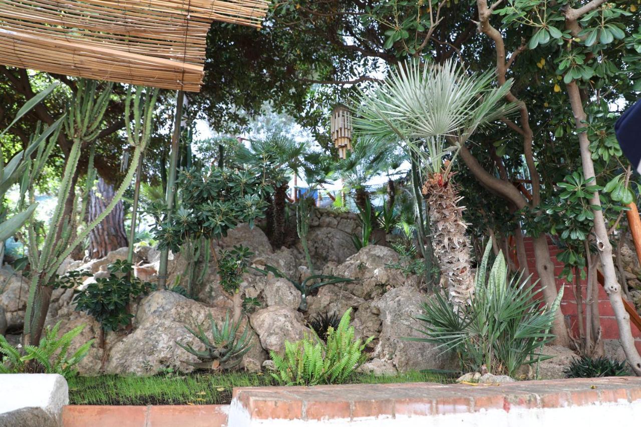 Casa Elvira Villa Terrasini Luaran gambar